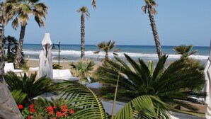 A beachside resort with palm trees, a white umbrella, and a view of the ocean.