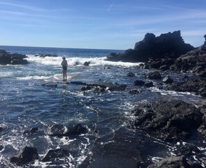 Camastros y toallas de playa 