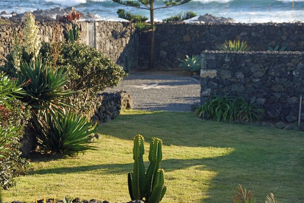 Un jardin avec un cactus, un mur de pierre et une vue sur l’océan.