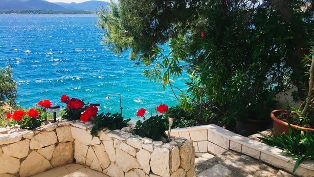 A stone wall with red flowers and a view of the sea. - House directly by the sea (Klek)