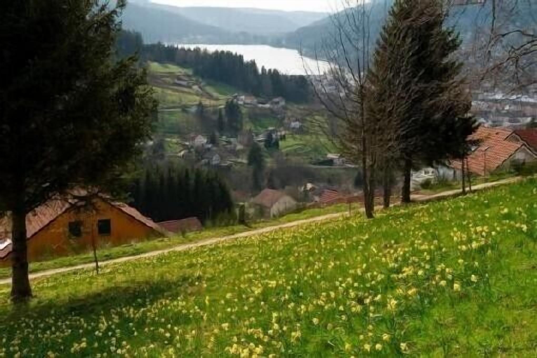 Ländliche Landschaft mit einem Haus, einem Weg und einem Feld voller gelber Blumen.