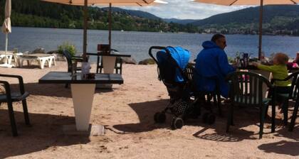 Ideal winter and summer, at the foot of the Gérardmer slopes with terrace, 2km from the lake