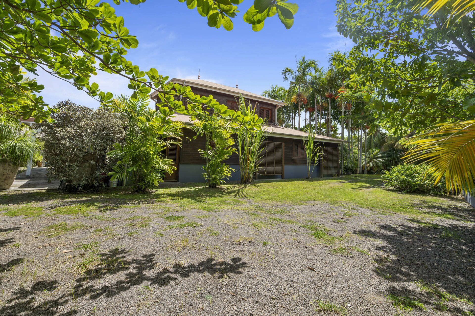 A house with a gravel yard, surrounded by lush greenery and palm trees.