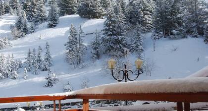 STUDIO 4PERS PIED DES PISTES, MERIBEL MOTTARET RESIDENCE LE RUITOR, WIFI PRIVE