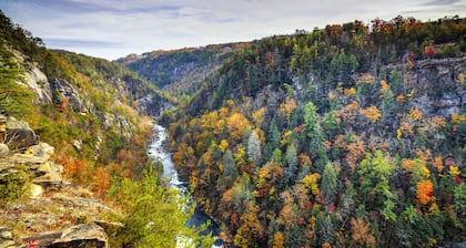 Escapada a la montaña del norte de Georgia