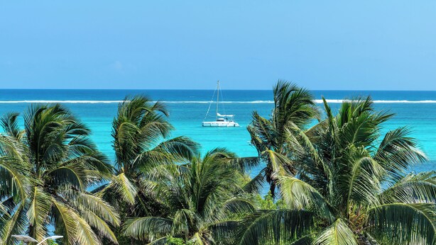 A clear view of the ocean with a boat in the distance, surrounded by palm trees.