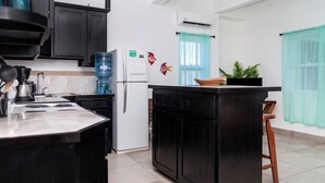 A kitchen with a stove, sink, refrigerator, and black cabinets.
