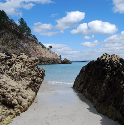  Sea view with terrace and garden for hiking, sailing, beach ...