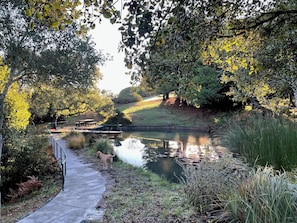 Stroll along the serene water's edge, surrounded by lush greenery and trees.