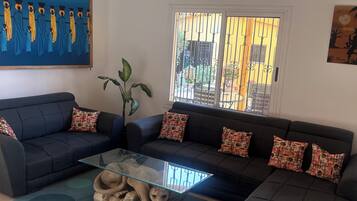 TV, DVD player, music library, video library