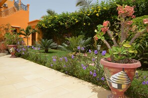 Stroll through the serene garden, surrounded by lush plants and a decorative planter.