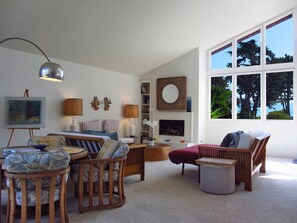 TV connectée, cheminée, lecteur de DVD, livres