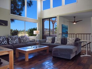 TV connectée, cheminée, lecteur de DVD, livres