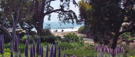 Plage à proximité, chaises longues, serviettes de plage