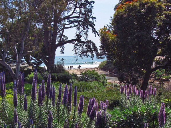 Plage à proximité, chaises longues, serviettes de plage
