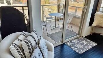 Télévision, cheminée, lecteur de DVD, livres