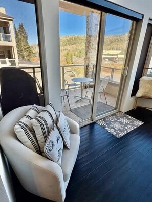 TV, fireplace, DVD player, books