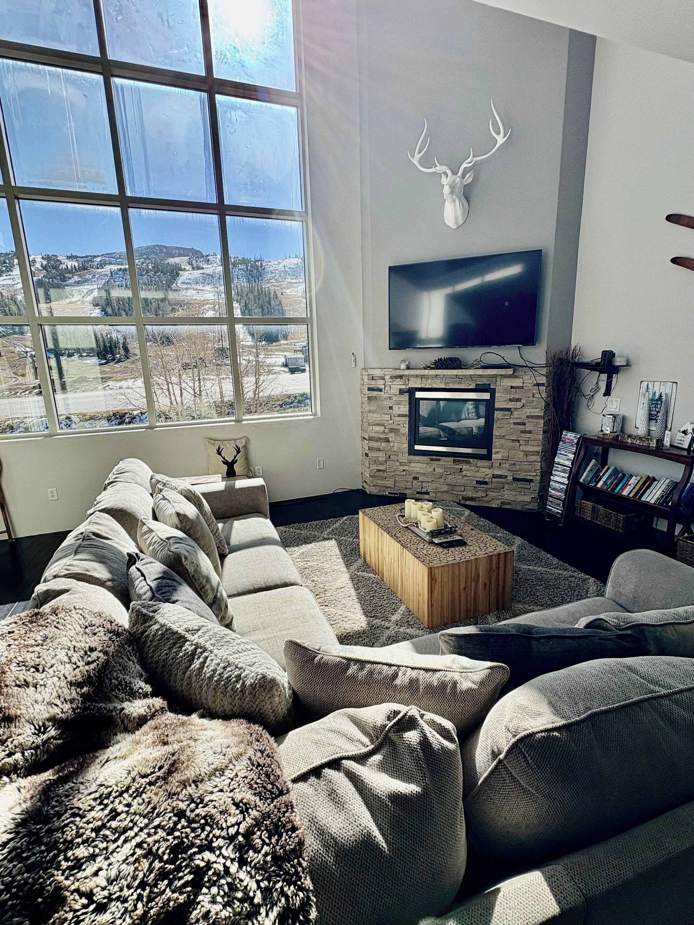 Televisión, chimenea y reproductor de DVD 