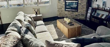 Televisión, chimenea y reproductor de DVD