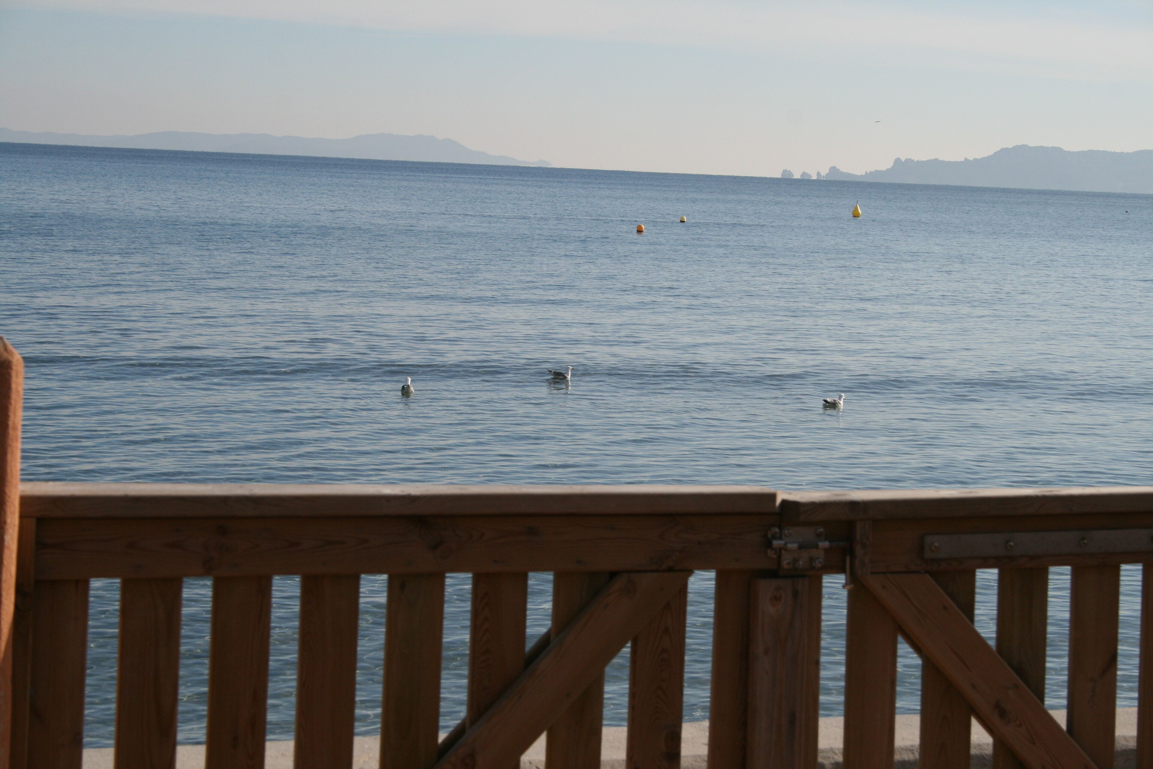A wooden deck overlooking a calm body of water with buoys and birds.