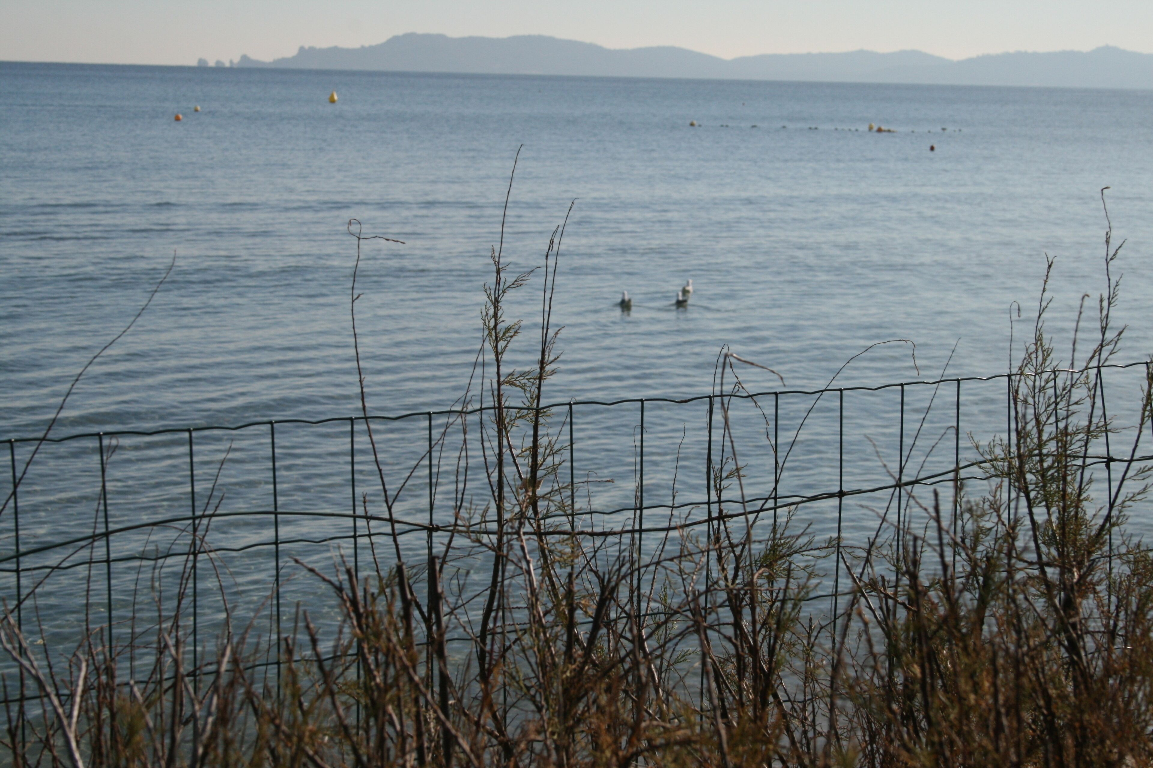 A view of a calm body of water with a distant shoreline and mountains.