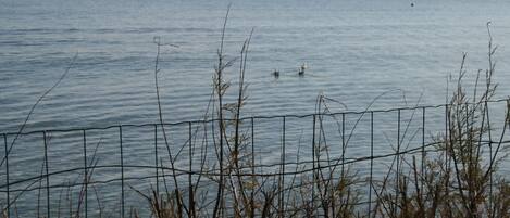 A view of a calm body of water with a distant shoreline and mountains.