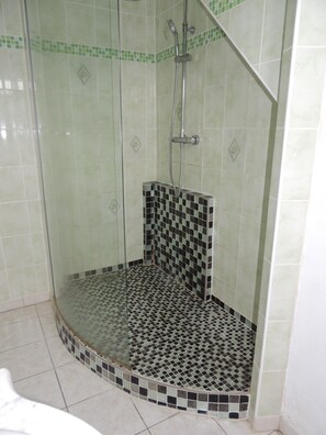 Combined shower/tub, hair dryer