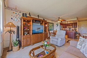 Smart TV, DVD player, books, video library