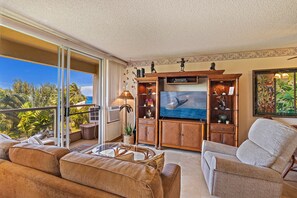 Smart TV, DVD player, books, video library