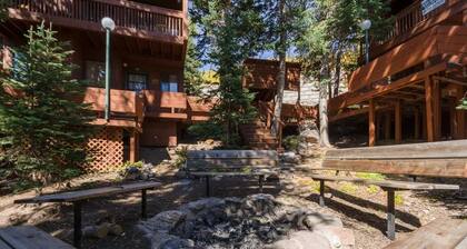 Aspens 5B-Cozy Condo right across from Giant Steps
