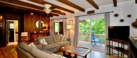 TV, fireplace, DVD player