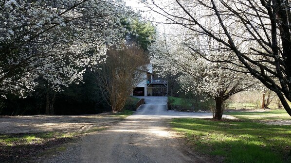 the parking is conveniently located to the house