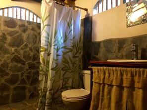 Shower, towels, toilet paper