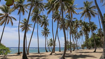 On the beach, sun-loungers, beach towels