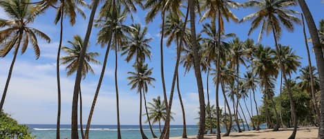 Na praia, espreguiçadeiras, toalhas de praia 