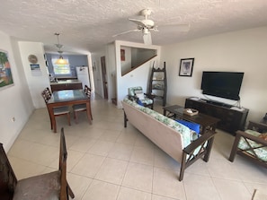 Smart TV, DVD player, books, video library