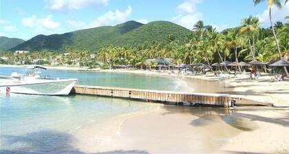 The Caribbean's premier vacation villa on the water in Jolly Harbour