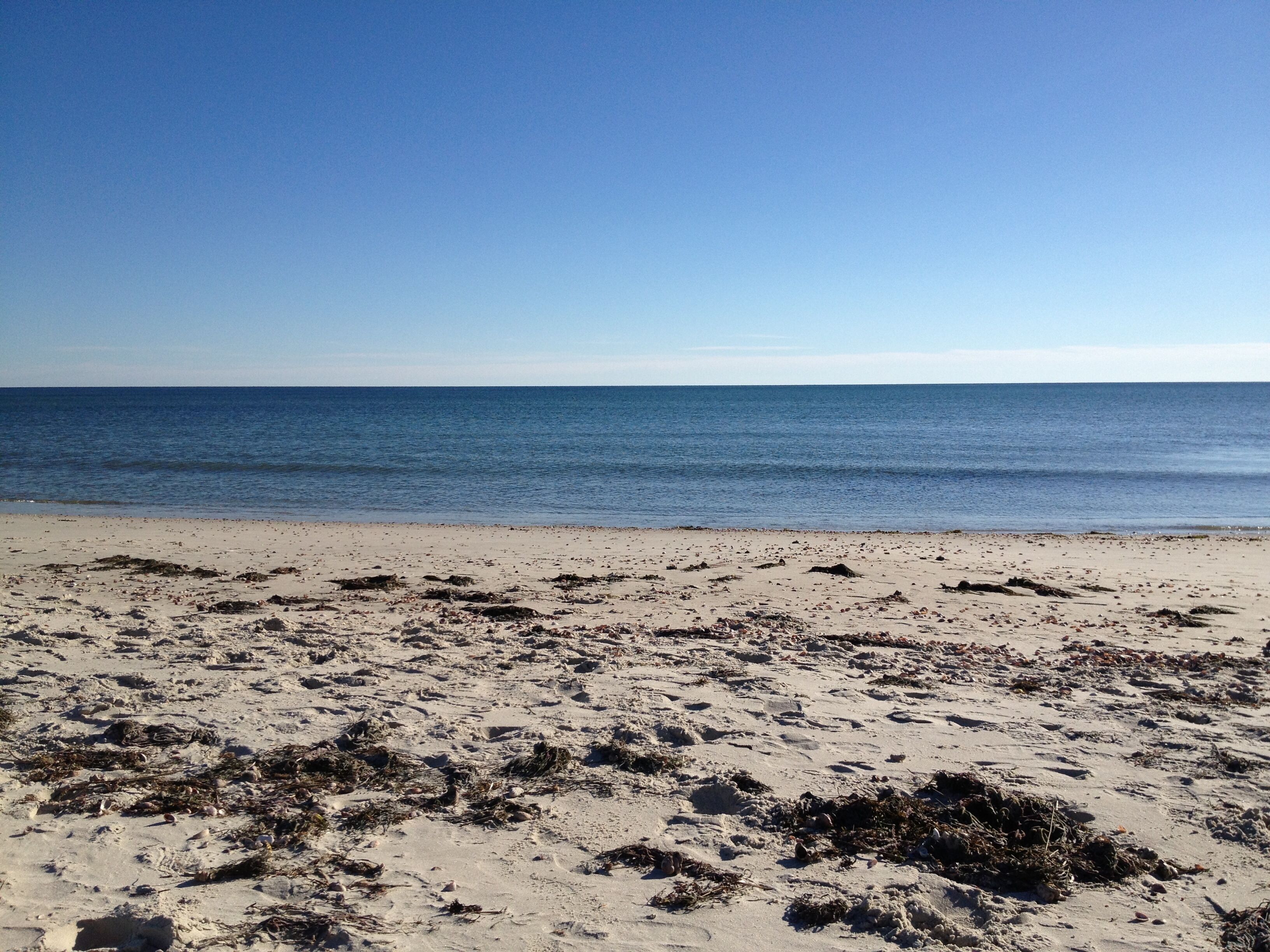A beach with sand and seaweed.