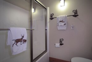 Combined shower/tub, hair dryer, shampoo