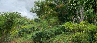 At Trin Khao Kho