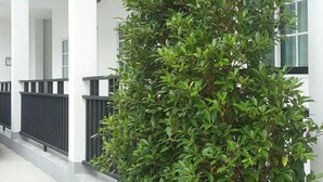 A building with a white exterior, multiple floors, and a covered outdoor area with potted plants. - Patchy&PPraw Family (Ubon Ratchathani)