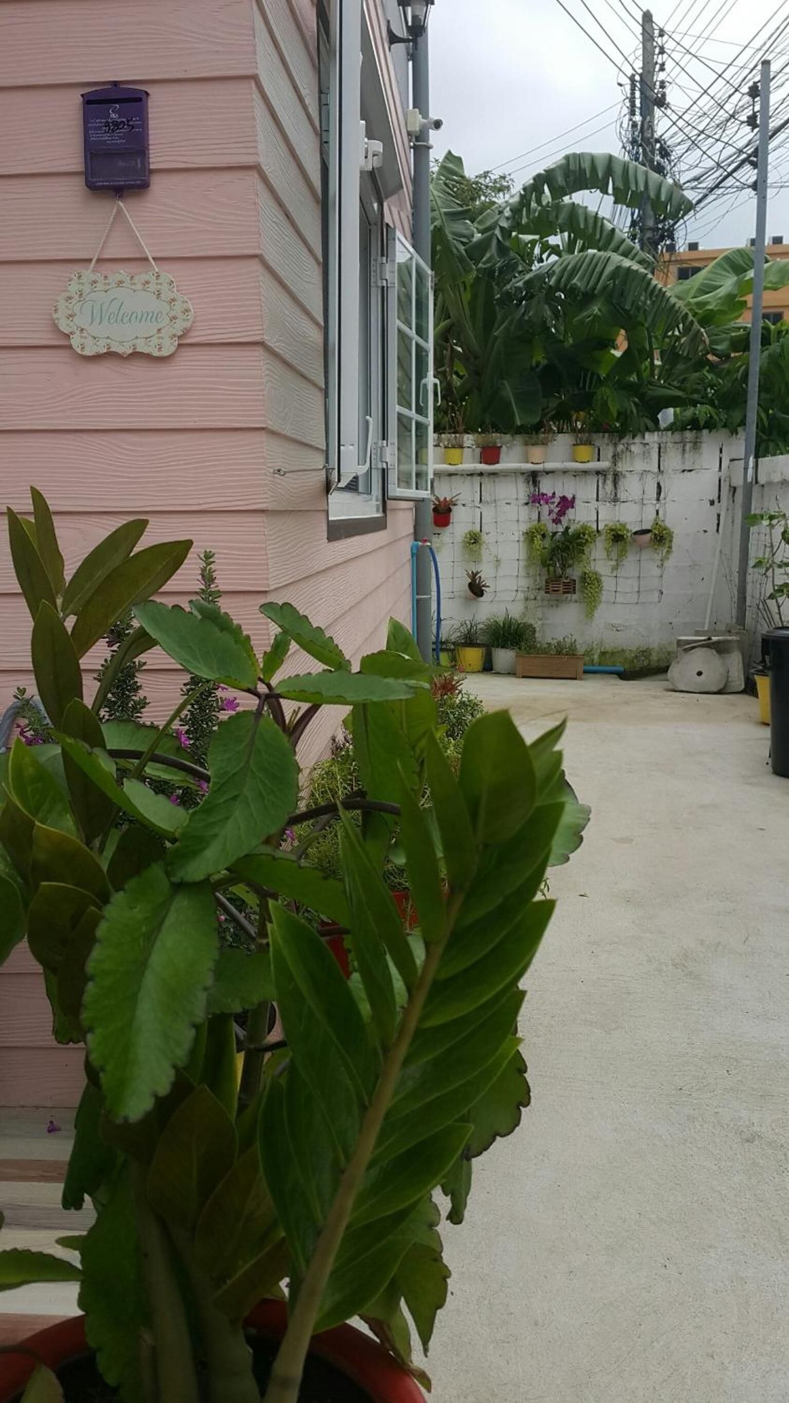 Um edifício rosa com um letreiro de 'Welcome', uma caixa de correio e uma janela com persiana branca. Há plantas em vasos e um muro de concreto com plantas pendentes ao fundo.