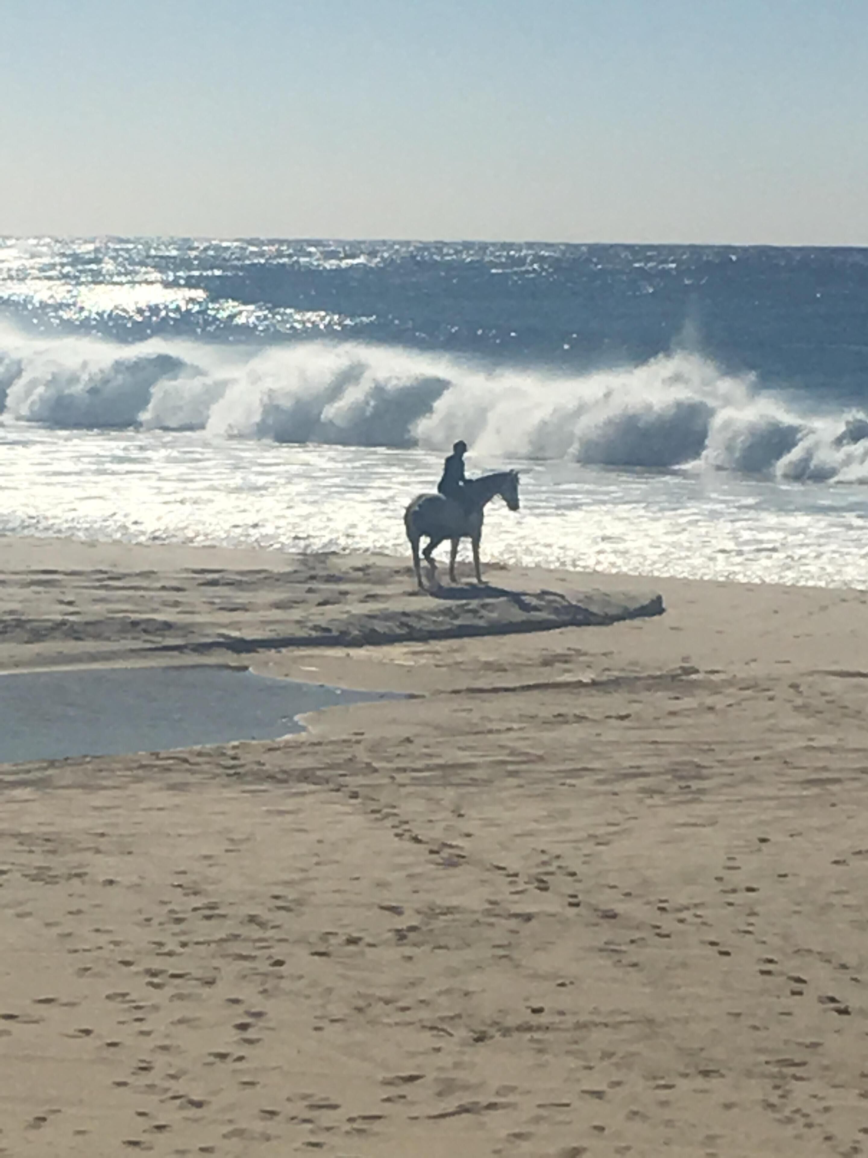 A beach with a person riding a horse near the water.