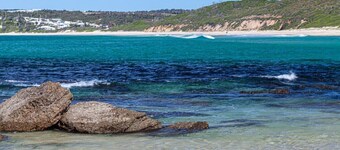 50m to beach patrol flags- ocean views - Nat. Park views - whales - open fire