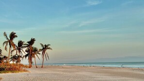 A beach with palm trees and a clear sky.