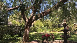 Ein Garten mit einem großen Baum, einer Steinfountain und einer Steinmauer.