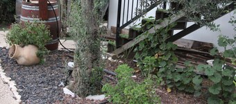 The Rashbi studio apartments