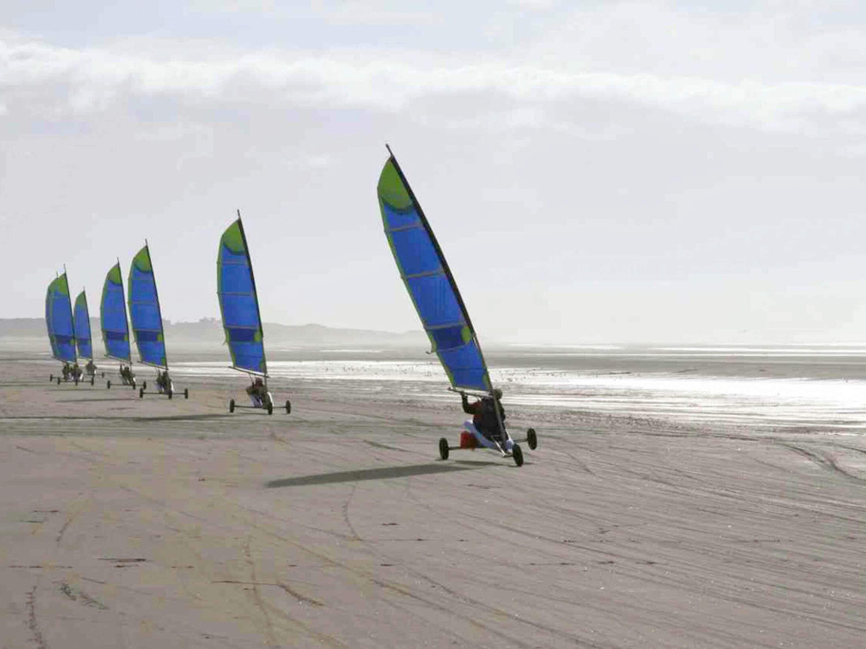 Een strand met meerdere windsurfplanken en surfers.