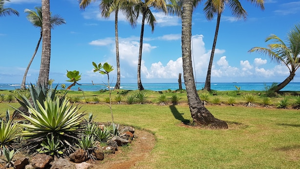 Property grounds - Hotel Casa Grande (Las Terrenas)