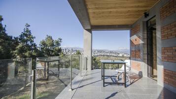 Superior Double Room, 1 King Bed, Non Smoking, City View | View from room